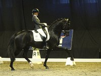 Desperado 201113_1554